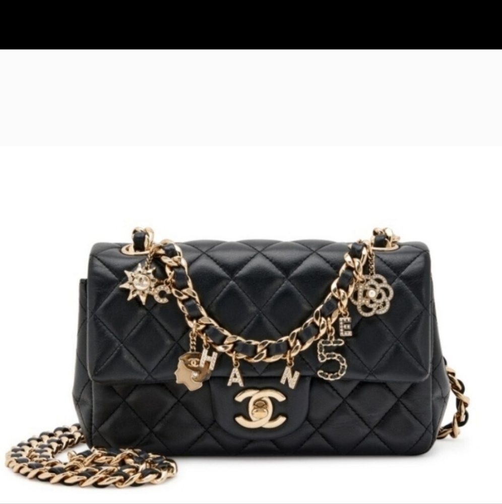 FASHION WOMEN BAGS NEW NO TAGS